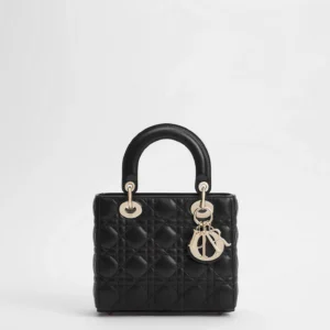 ABCDior Bag