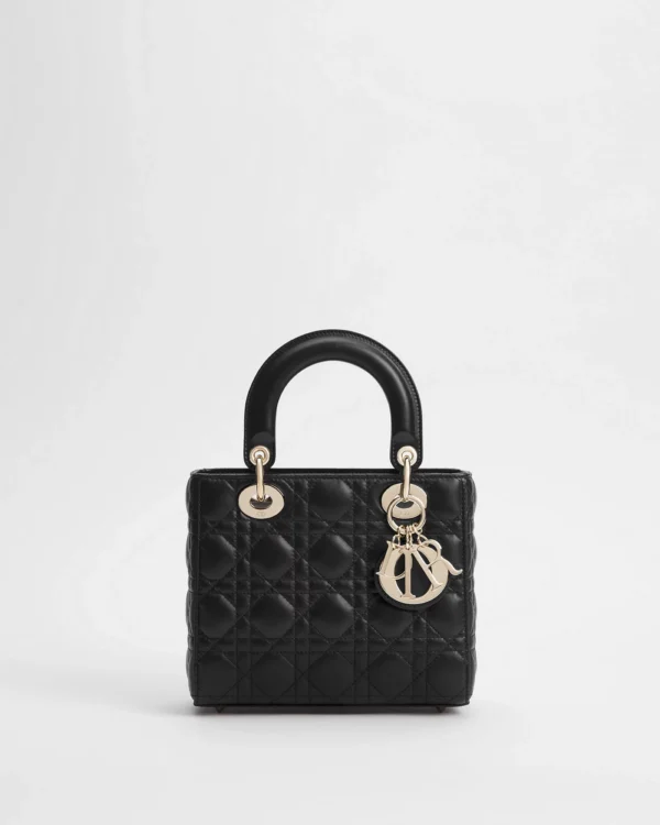 ABCDior Bag